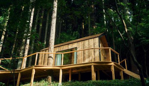 Twin Room with Terrace