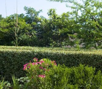 Superior Double Room with Balcony and Garden View