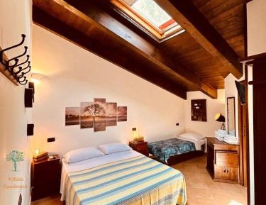 Basic Double Room