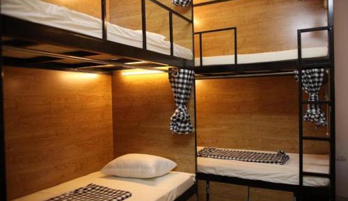 Bunk Bed in Mixed Dormitory Room