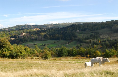 Vivo dʼOrcia Hotel | A Stay Surrounded by Greenery - Agriturismo La Piaggia -App 2 Guests